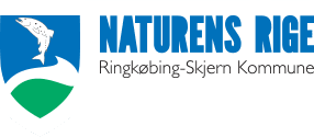 Ringkøbing-Skjern Kommune